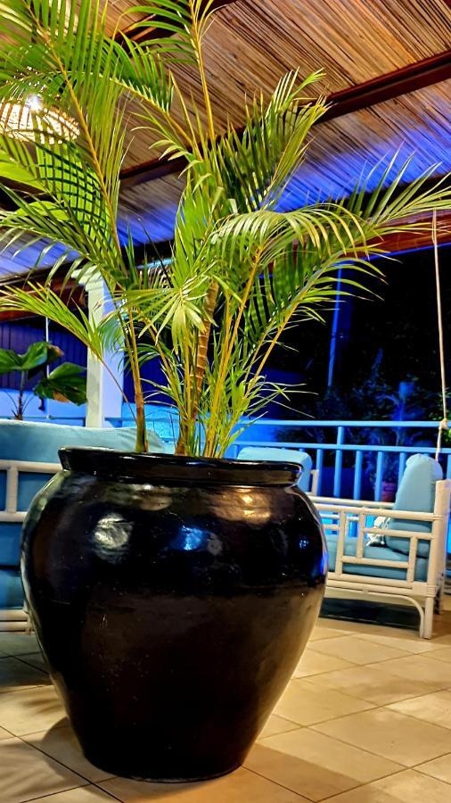 Des Iles 3 Villa *