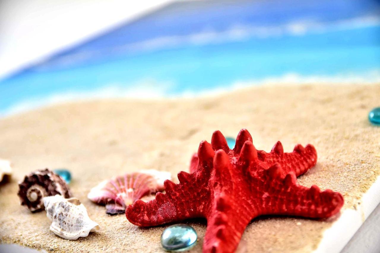 فيلة Des Iles 3